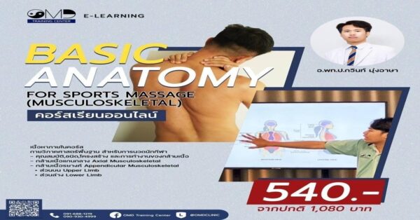 BASIC ANATOMY FOR SPORTS MASSAGE (MUSCULOSKELETAL)